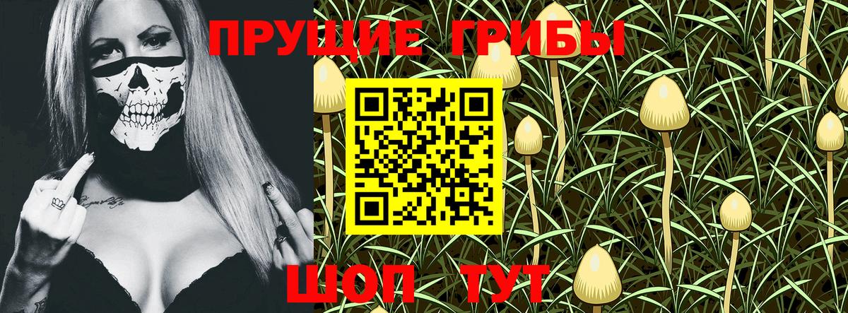 Галлюциногенные грибы Psilocybine cubensis Армавир